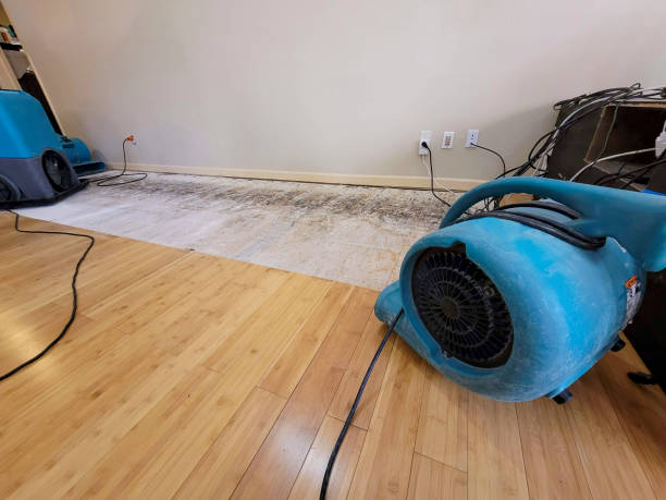 Professional Ceiling Water Damage Repair technician working in Ferris, TX